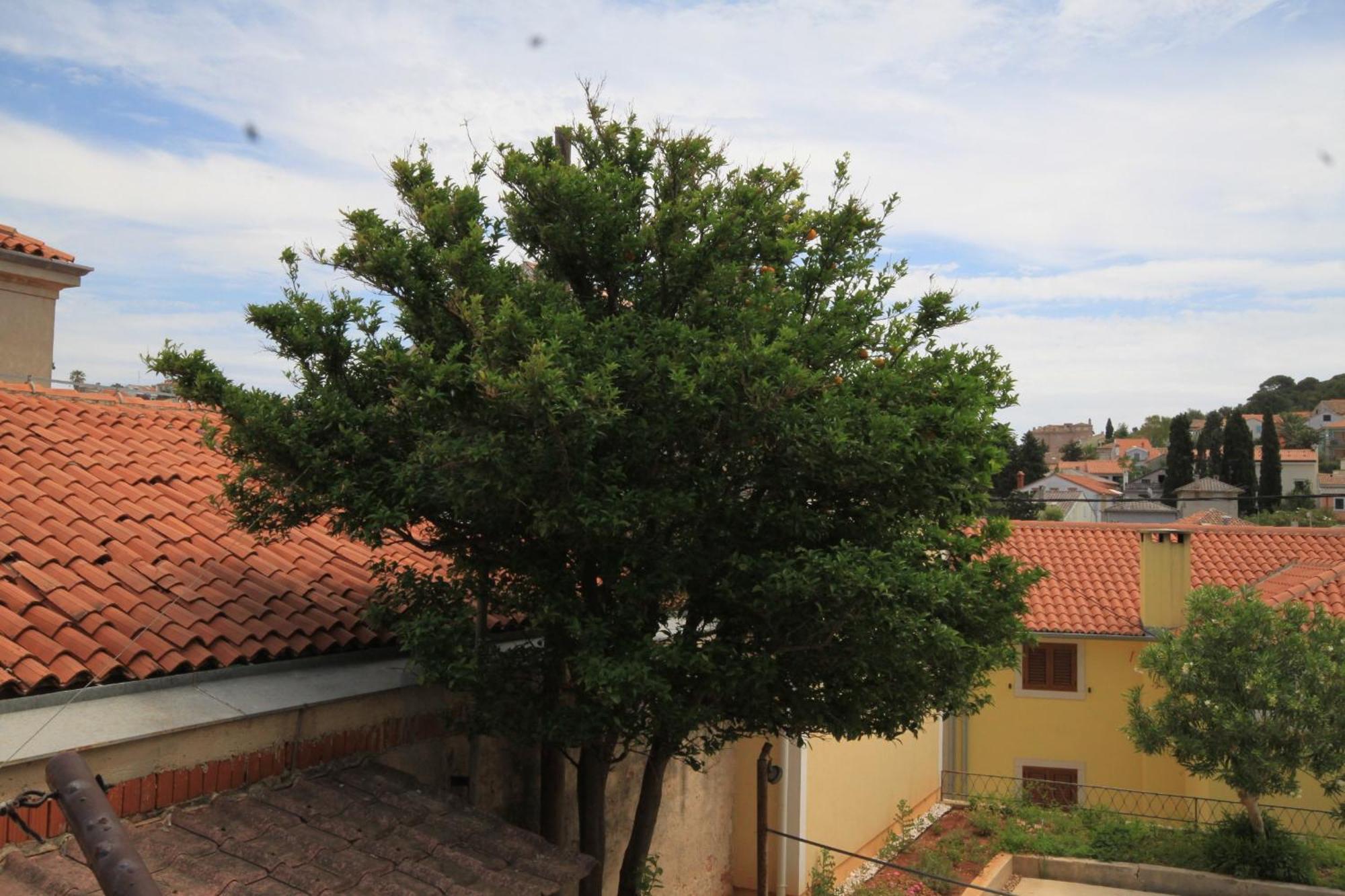 Apartments And Rooms With Parking Space Mali Lošinj Buitenkant foto